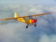 Piper PA-19