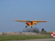 Piper PA-19