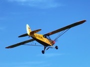 Piper PA-19
